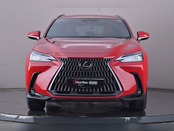 Used Lexus NX 2023 for sale - 75936368: Photo