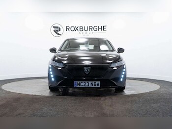 Used Peugeot 308 2023 for sale - 78003664: Photo