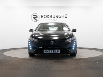 Used Peugeot 308 2023 for sale - 76406139: Photo