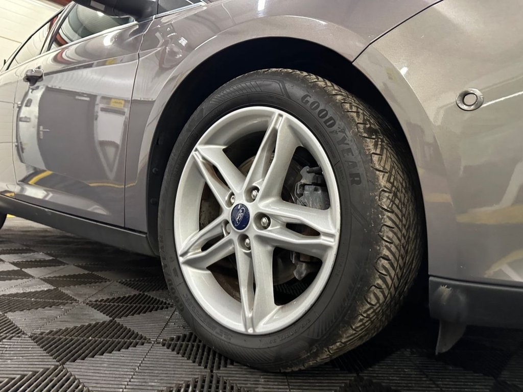 Used Ford Focus 2016 for sale - 76797665: Photo 11