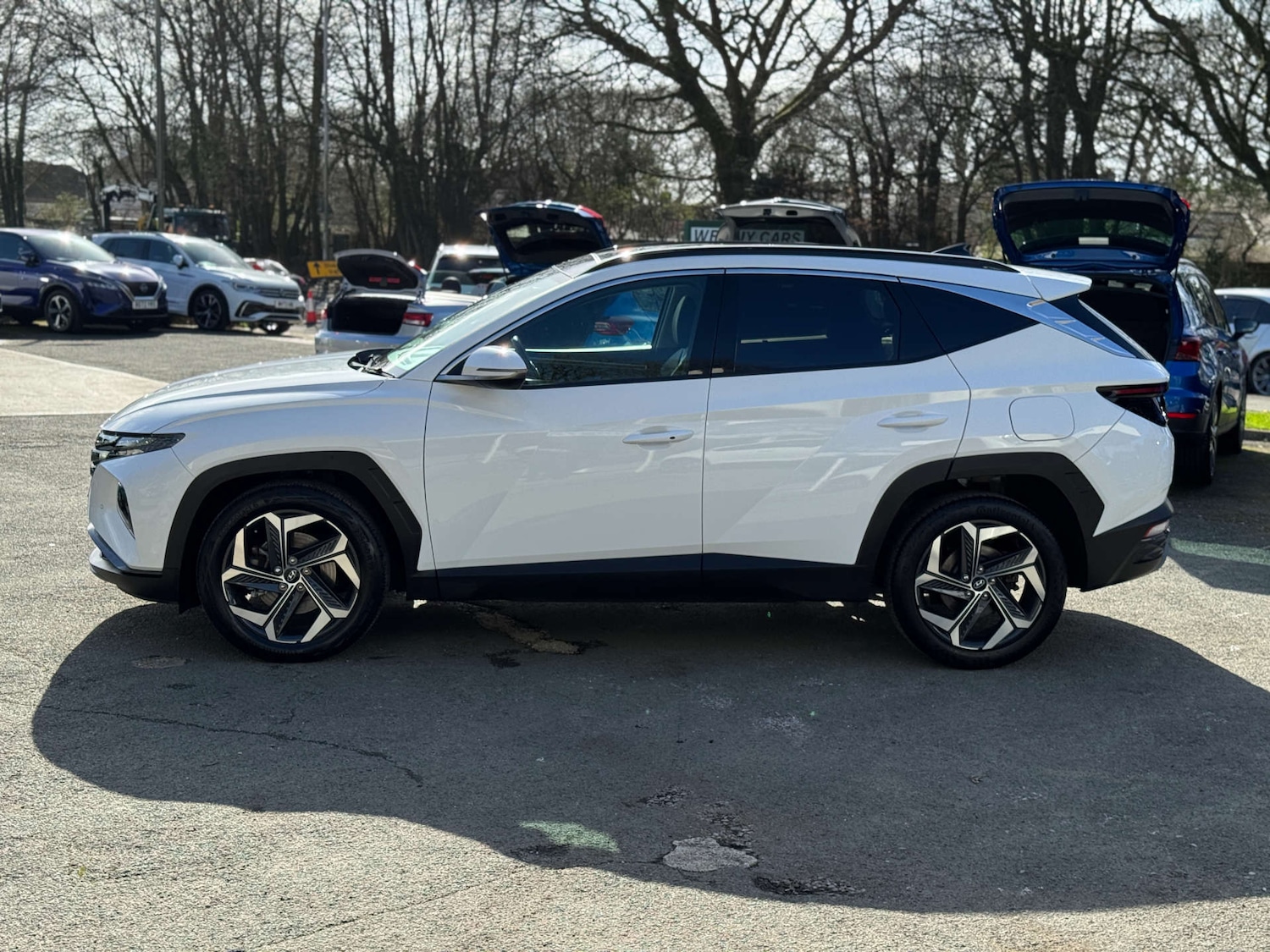 Used Hyundai TUCSON 2023 for sale - 77967858: Photo 5