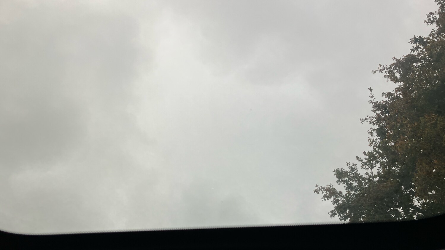 Used MINI Clubman 2022 for sale - 76265891: Photo 39