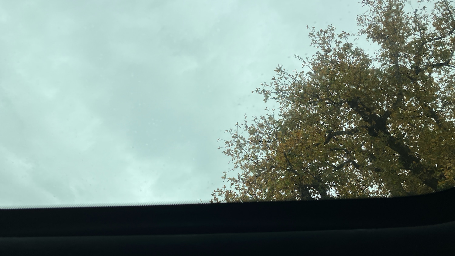 Used MINI Hatch 2023 for sale - 76492107: Photo 36