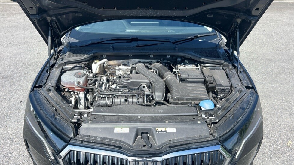 Used Skoda Octavia 2024 for sale - 76868272: Photo 17