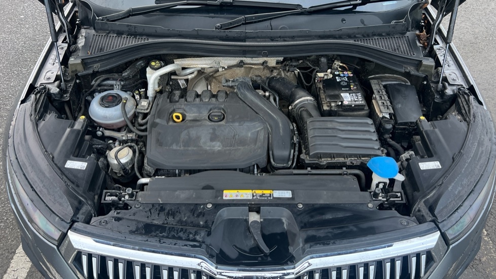 Used Skoda Kodiaq 2024 for sale - 76874341: Photo 17