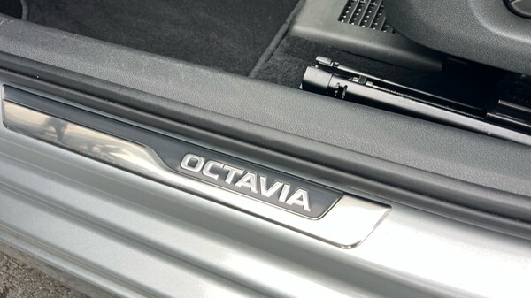 Used Skoda Octavia 2025 for sale - 76021988: Photo 36