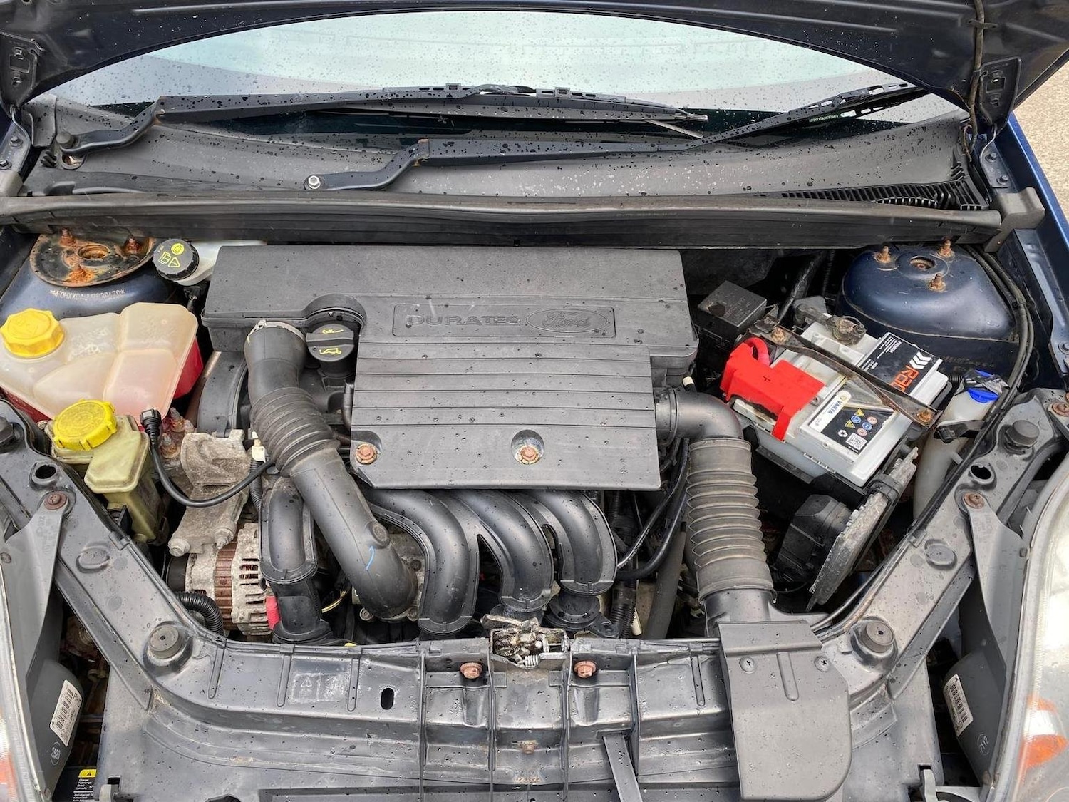 Used Ford Fiesta 2008 for sale - 77906456: Photo 17