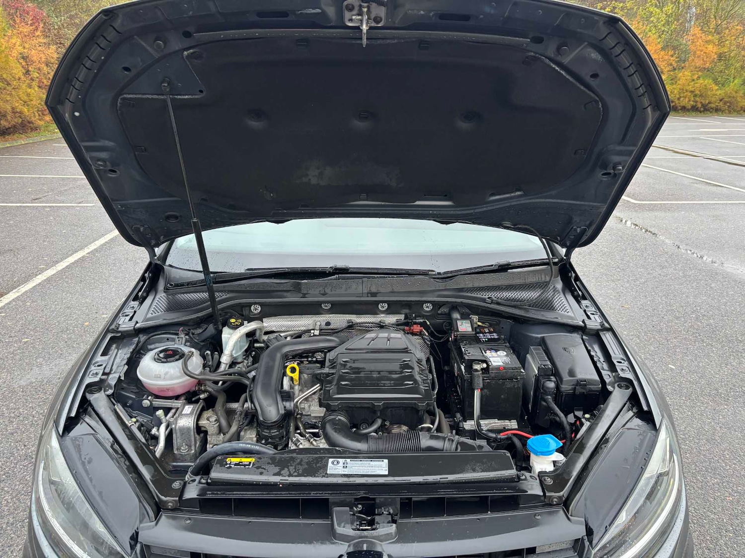 Used Volkswagen Golf 2017 for sale - 76587569: Photo 30