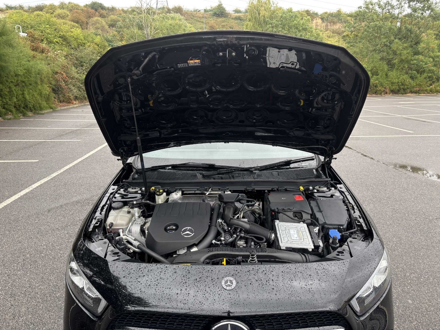 Vehicle 30