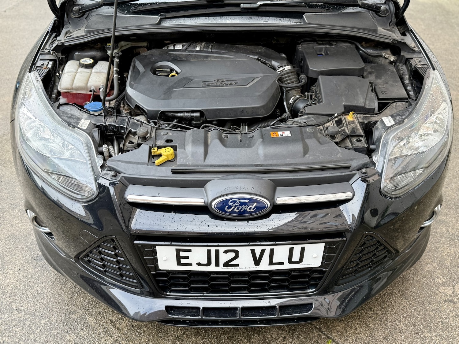 Used Ford Focus 2012 for sale - 77721266: Photo 9