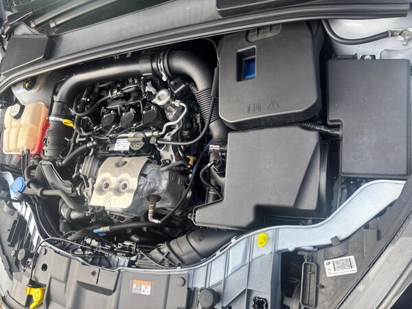 Used Ford Focus 2016 for sale - 76269947: Photo 66