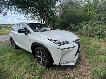 Used Lexus NX 2017 for sale - 78974535: Photo