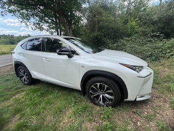 Used Lexus NX 2017 for sale - 78974535: Photo