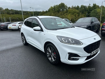 Used Ford Kuga 2020 for sale - 75928725: Photo
