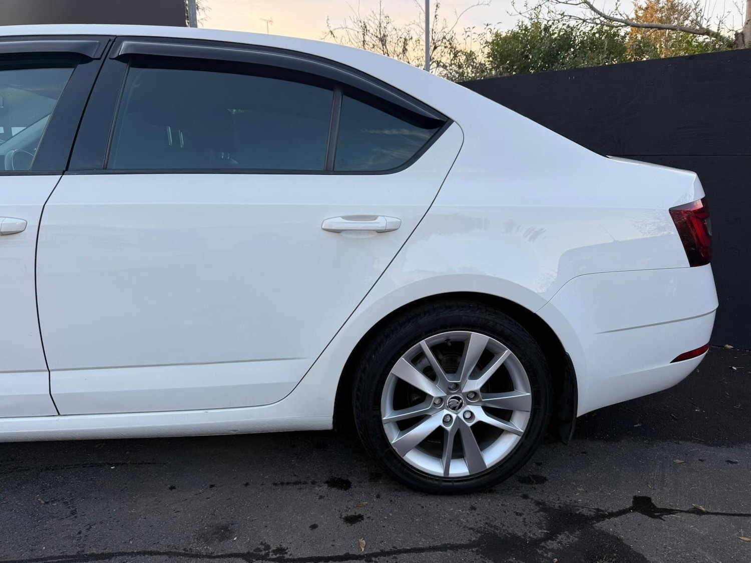 Used Skoda Octavia for sale - 77753904: Photo 19