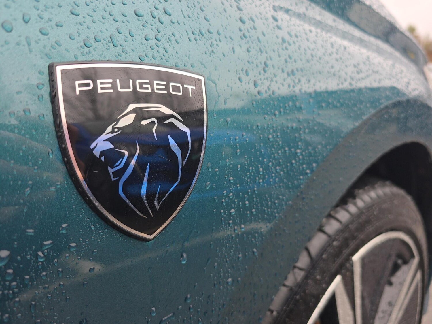 Used Peugeot 308 2025 for sale - 77685562: Photo 11