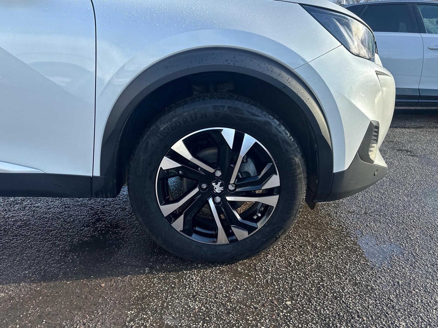 Used Peugeot 2008 2023 for sale - 76766757: Photo 15