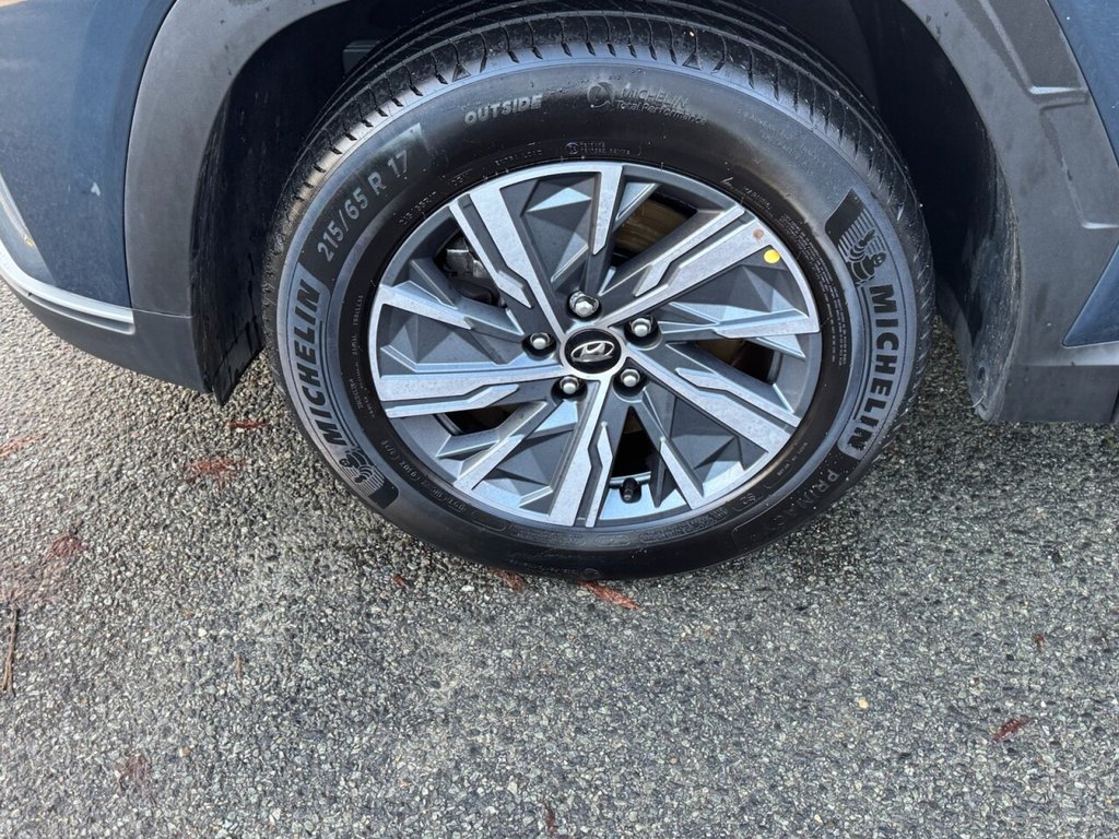 Used Hyundai TUCSON 2023 for sale - 77037911: Photo 13