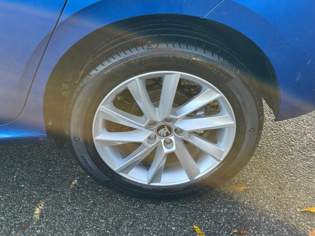 Used Skoda Kamiq 2025 for sale - 76910489: Photo 11