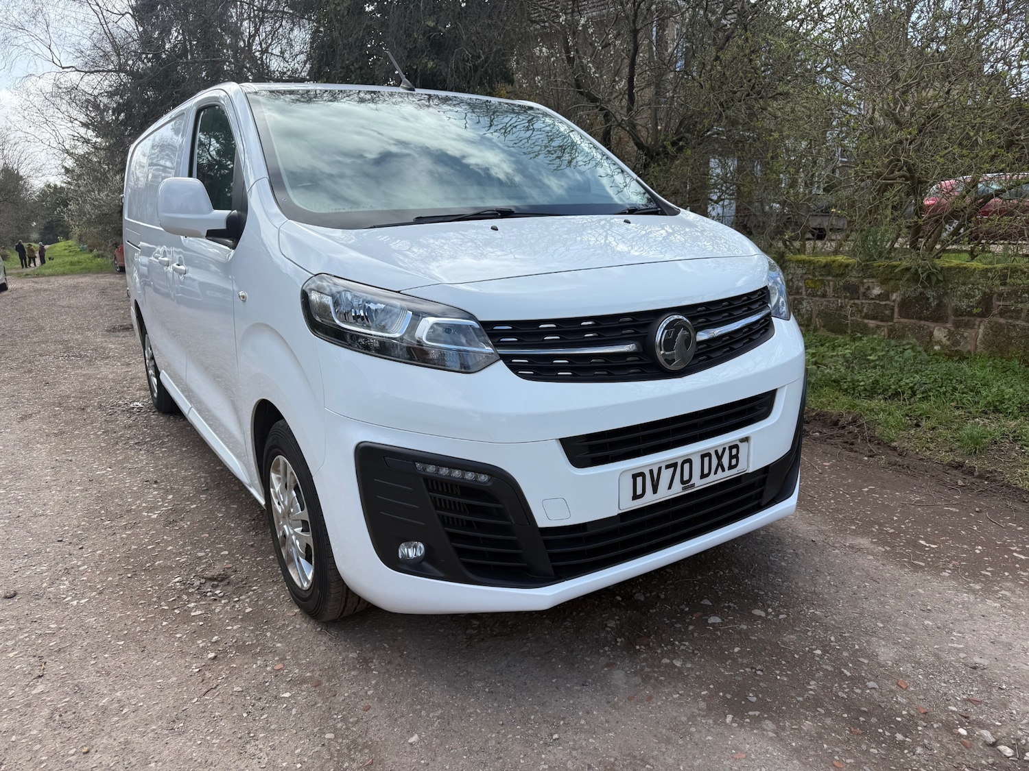 Used Vauxhall Vivaro 2020 for sale - 78057233: Photo 1