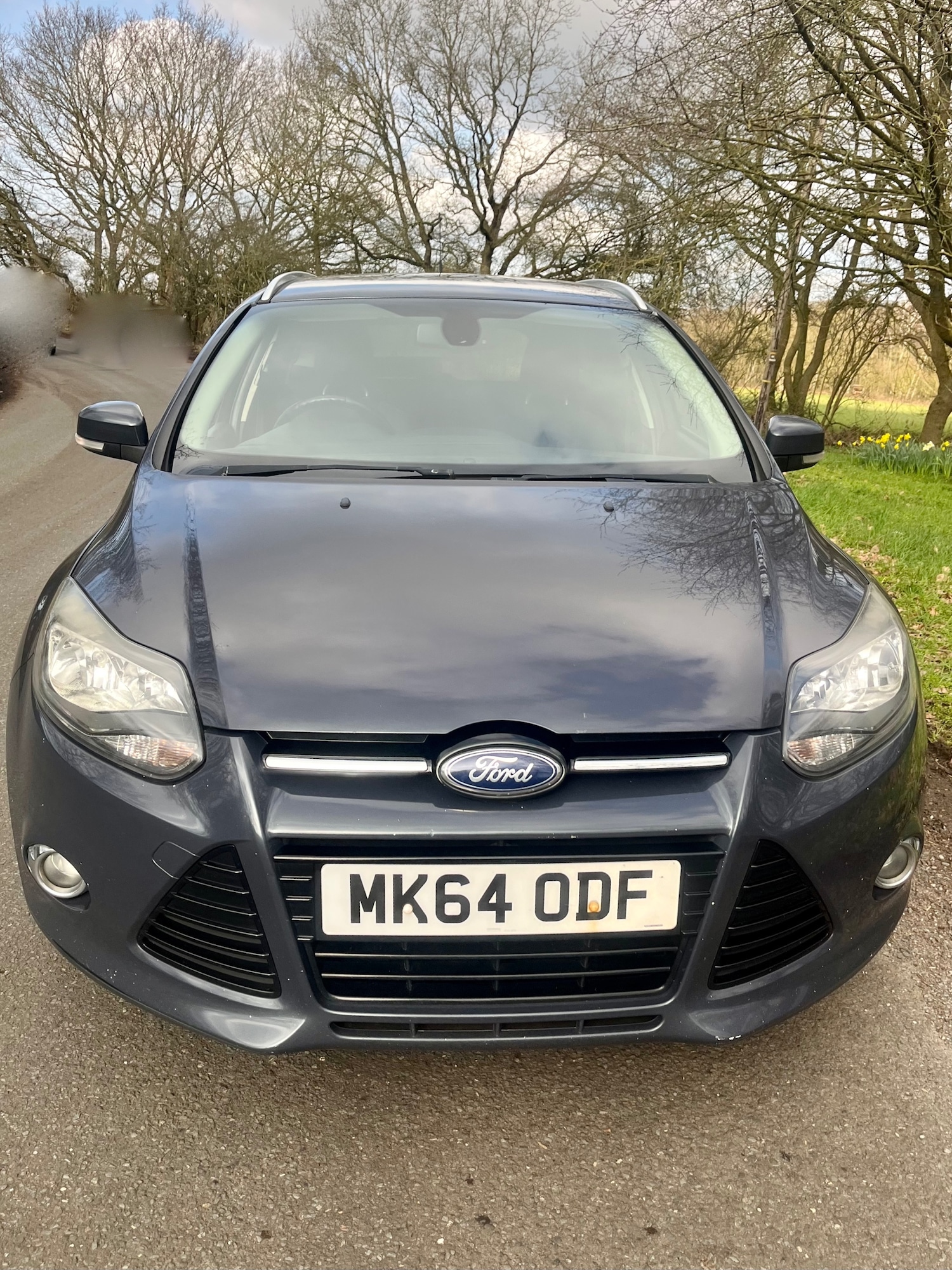 Used Ford Focus 2014 for sale - 77665919: Photo 2