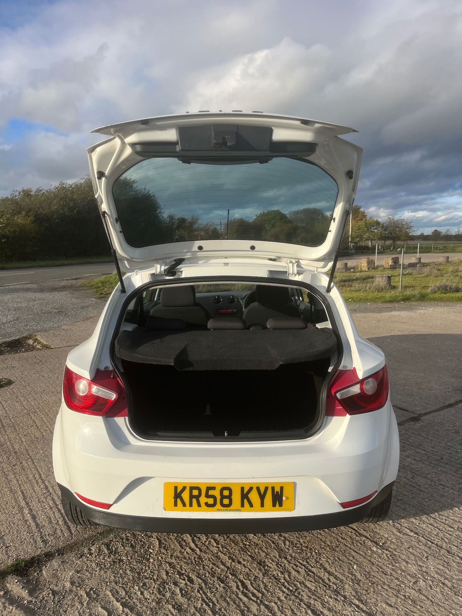 Used SEAT Ibiza 2008 for sale - 76366784: Photo 11