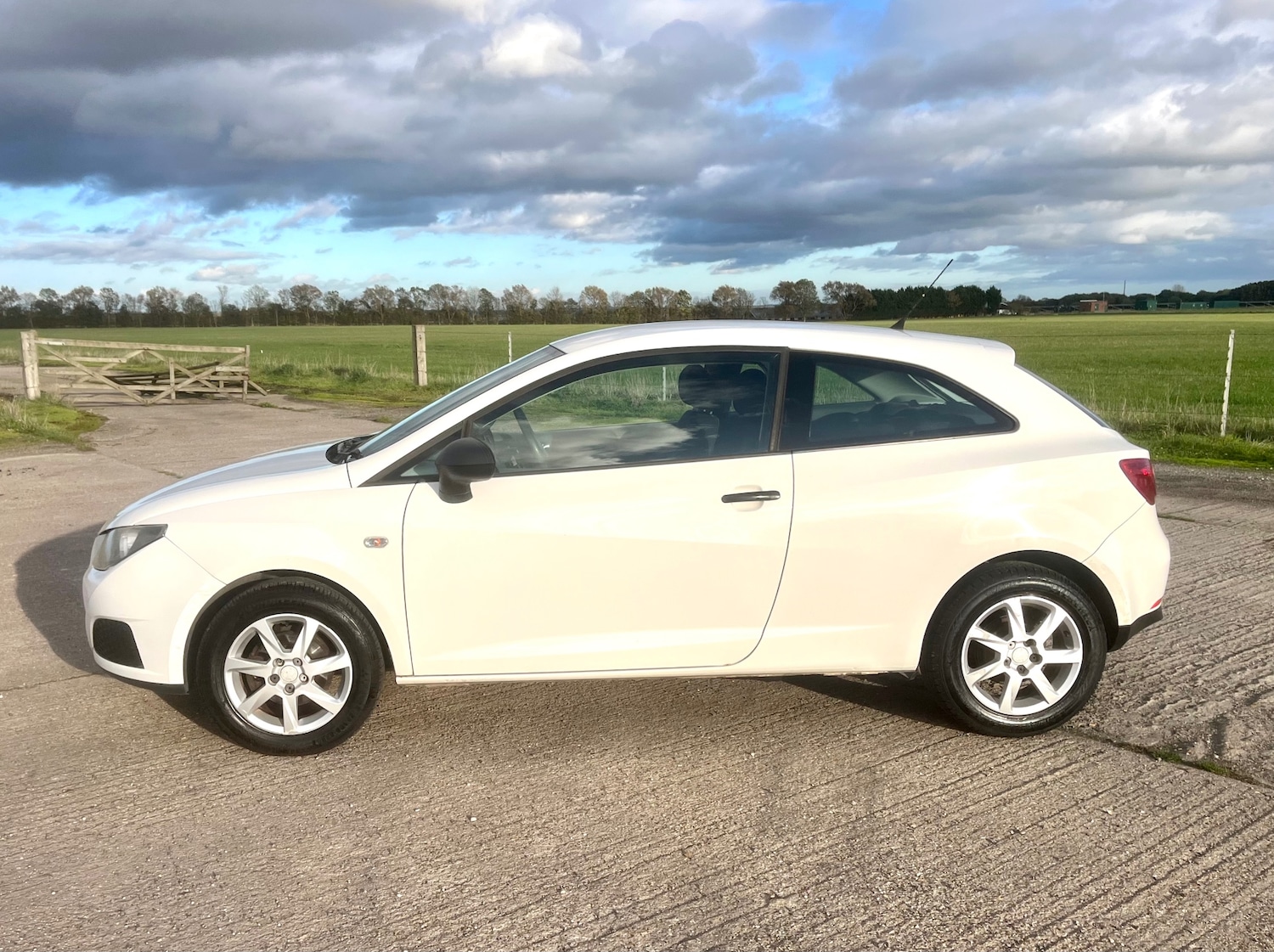 Used SEAT Ibiza 2008 for sale - 76366784: Photo 13
