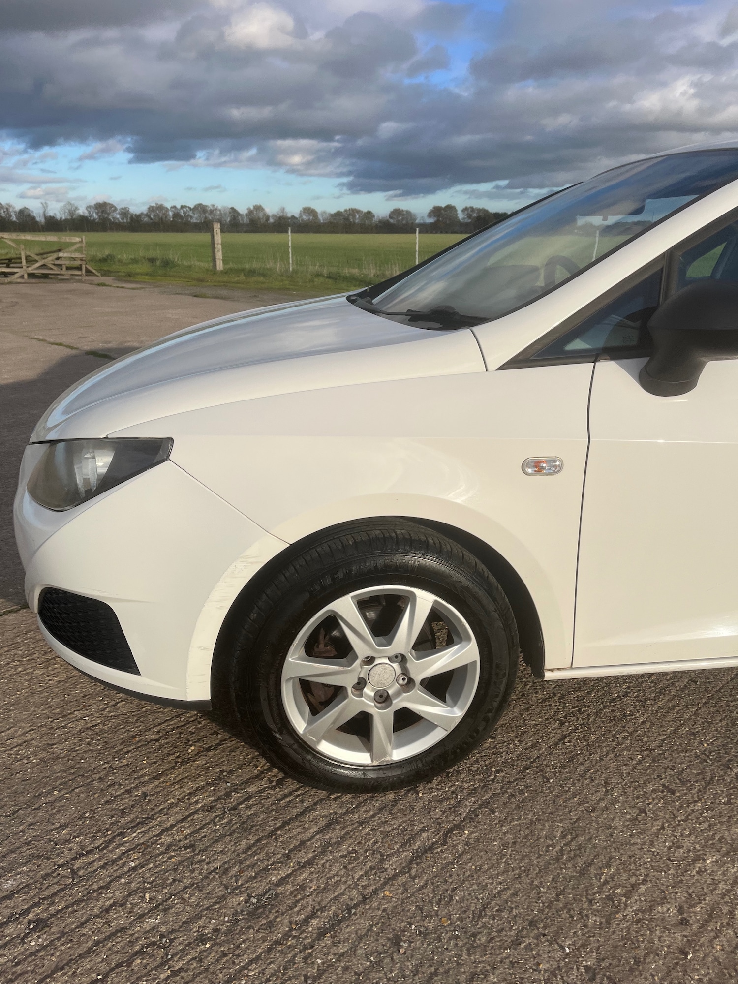 Used SEAT Ibiza 2008 for sale - 76366784: Photo 22