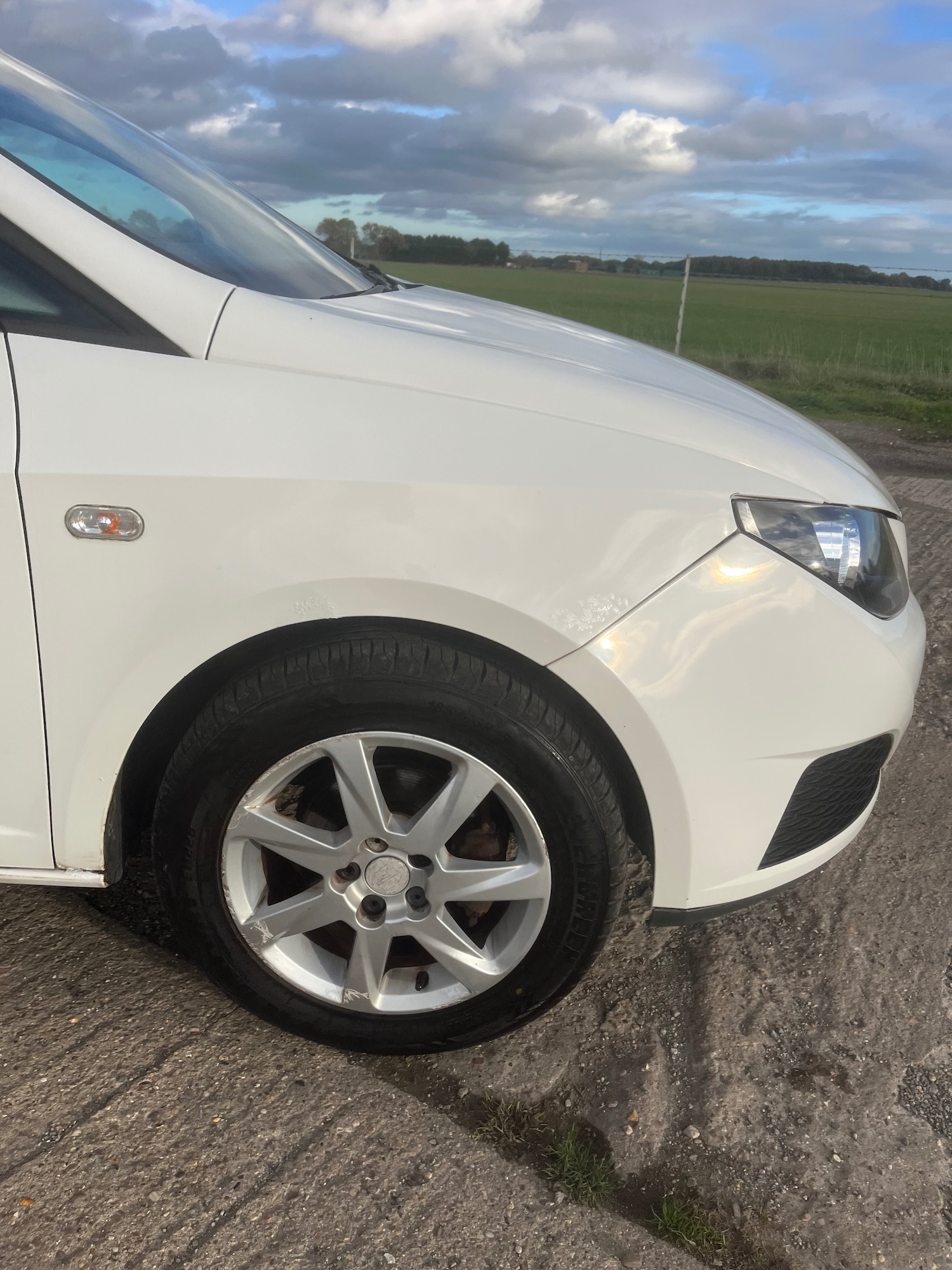 Used SEAT Ibiza 2008 for sale - 76366784: Photo 25
