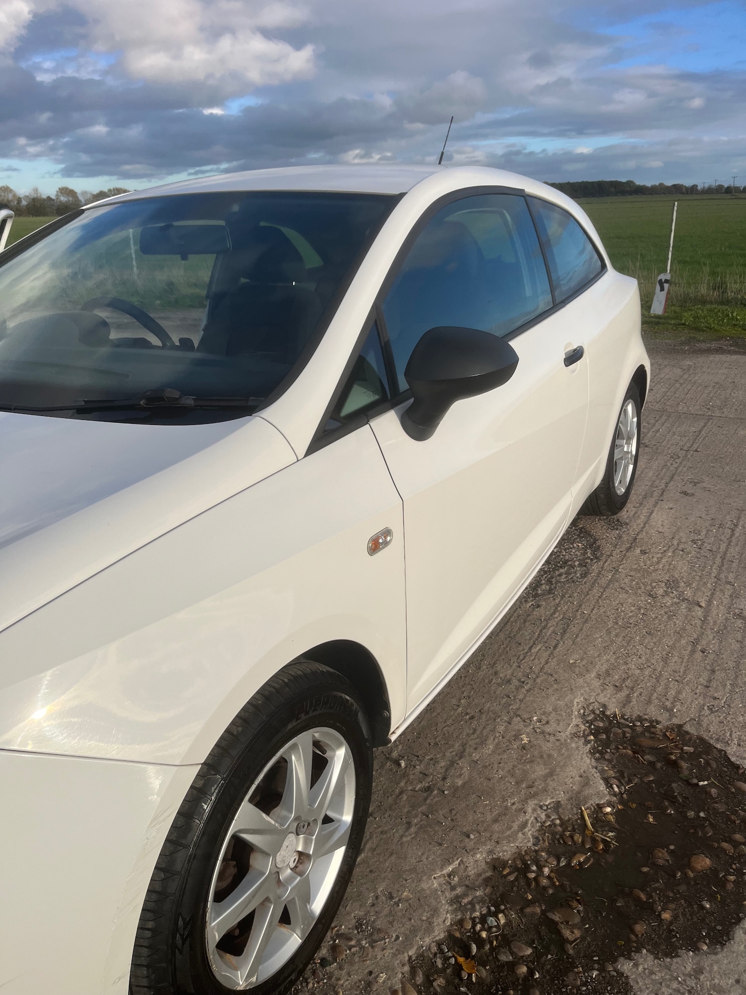 Used SEAT Ibiza 2008 for sale - 76366784: Photo 27