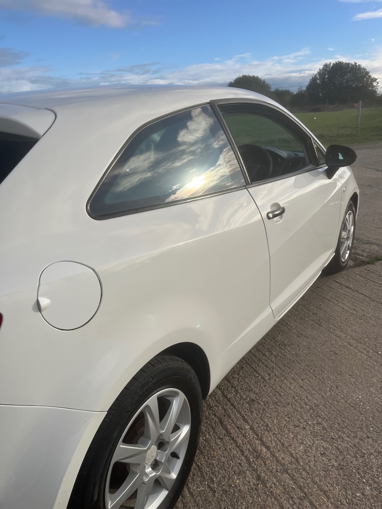 Used SEAT Ibiza 2008 for sale - 76366784: Photo 29