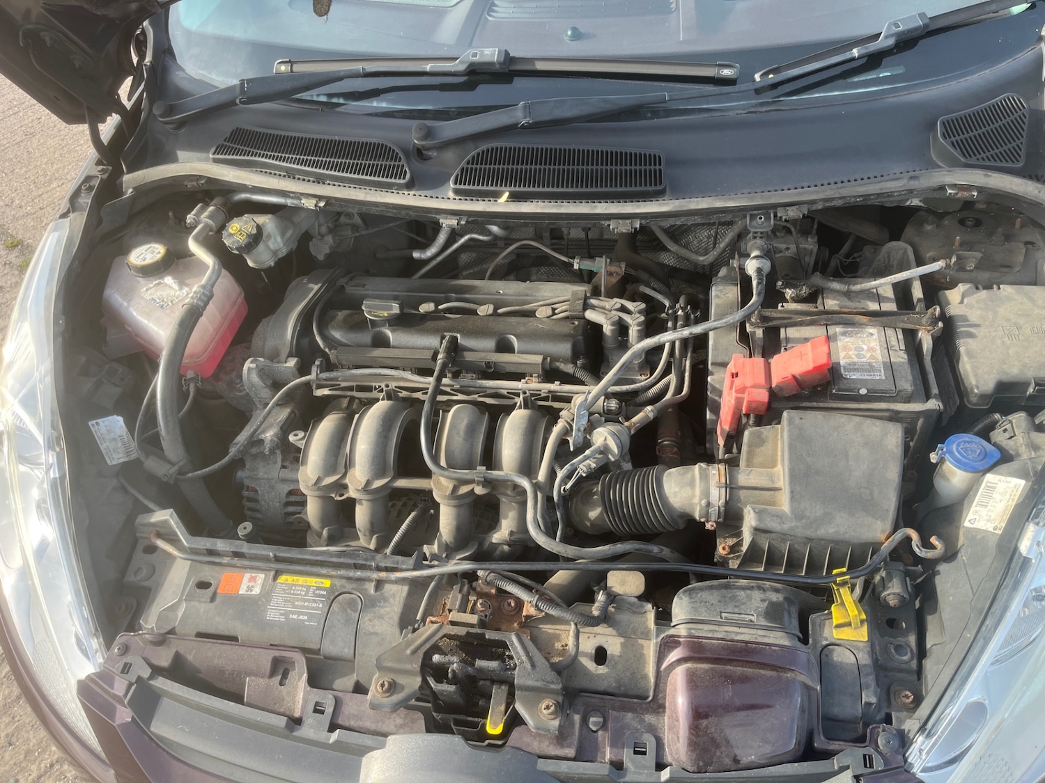 Used Ford Fiesta 2008 for sale - 76387146: Photo 18