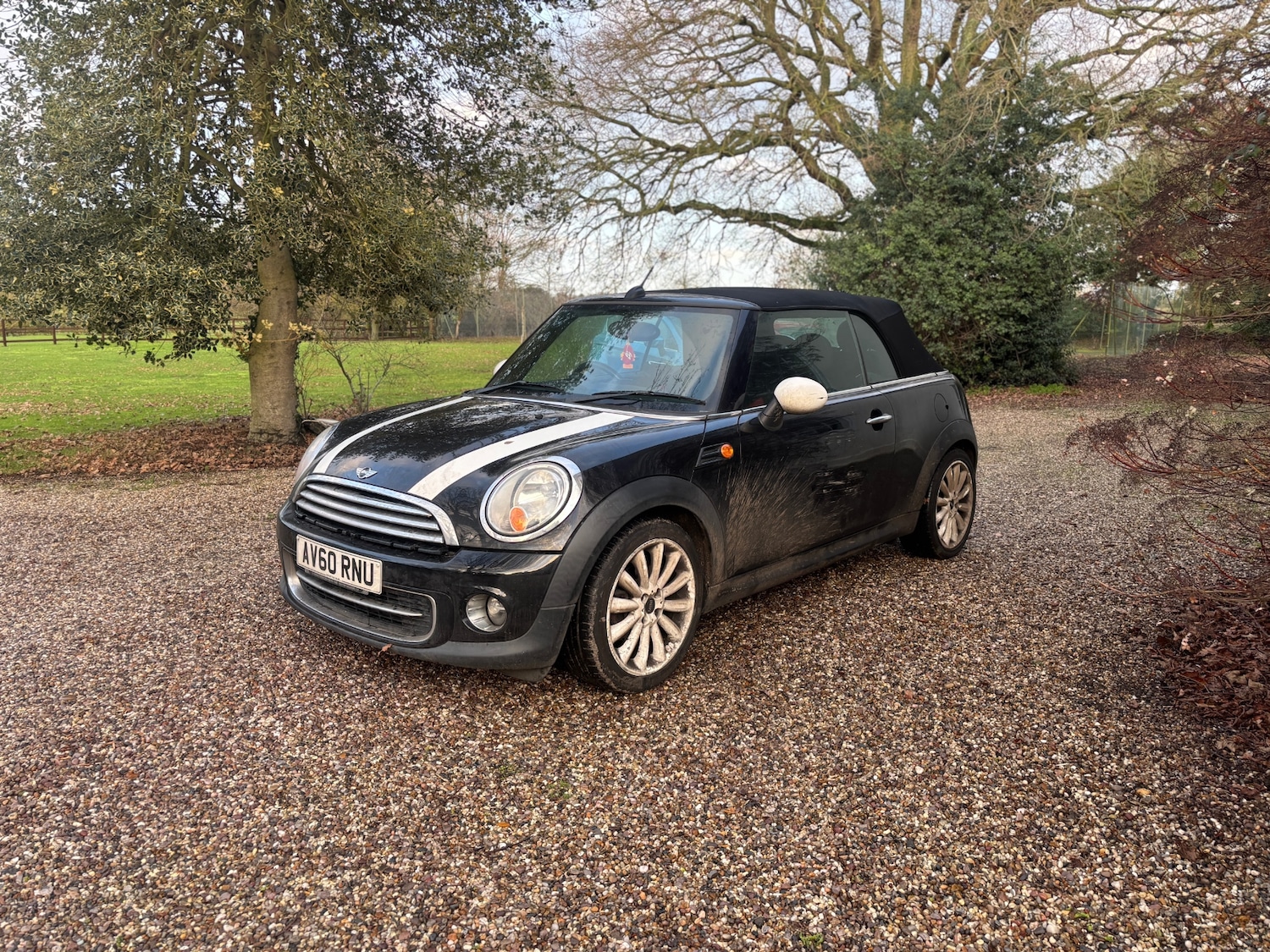 Used MINI Convertible 2010 for sale - 77398869: Photo 2