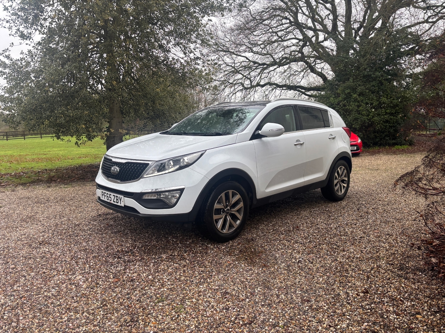 Used Kia Sportage 2016 for sale - 77158342: Photo 3