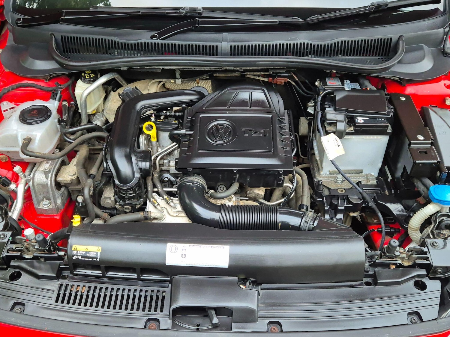 Used Volkswagen Polo 2018 for sale - 76528116: Photo 16