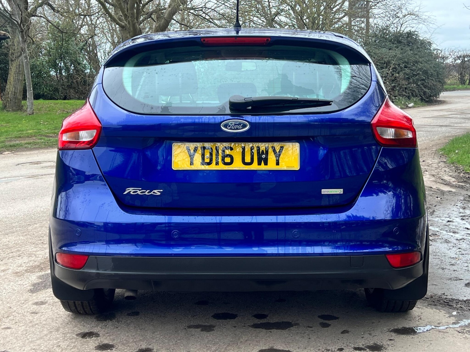 Used Ford Focus 2016 for sale - 77783520: Photo 5