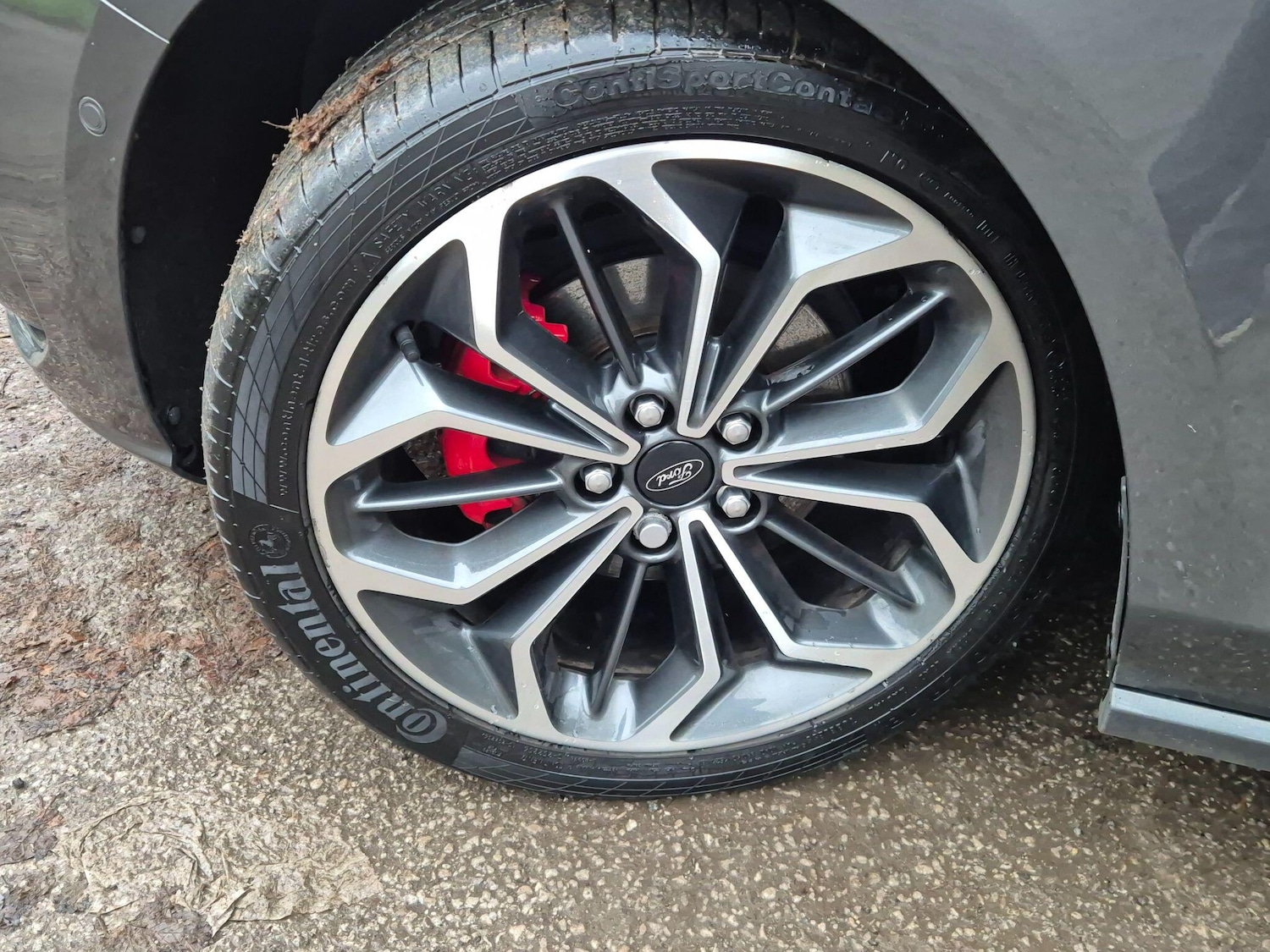 Used Ford Focus 2023 for sale - 77040108: Photo 15