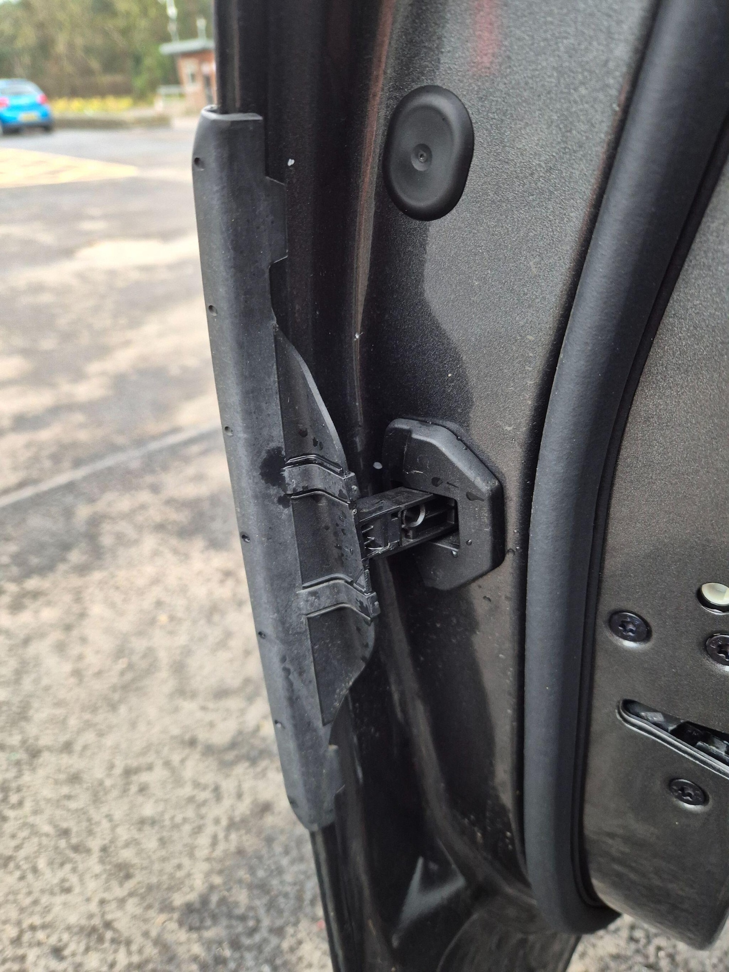 Used Ford Focus 2023 for sale - 77040108: Photo 33