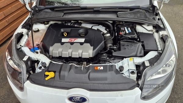 Used Ford Focus 2012 for sale - 77799619: Photo 24