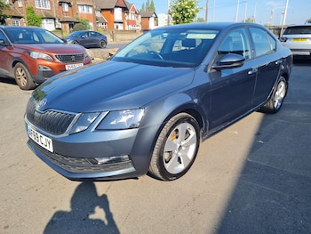 Used Skoda Octavia 2019 for sale - 79365717: Photo