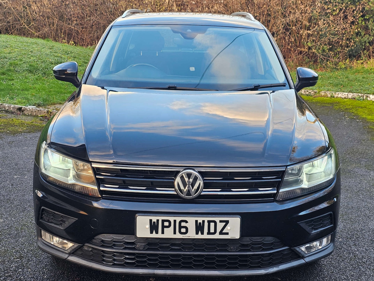 Used Volkswagen Tiguan 2016 for sale - 77022623: Photo 15