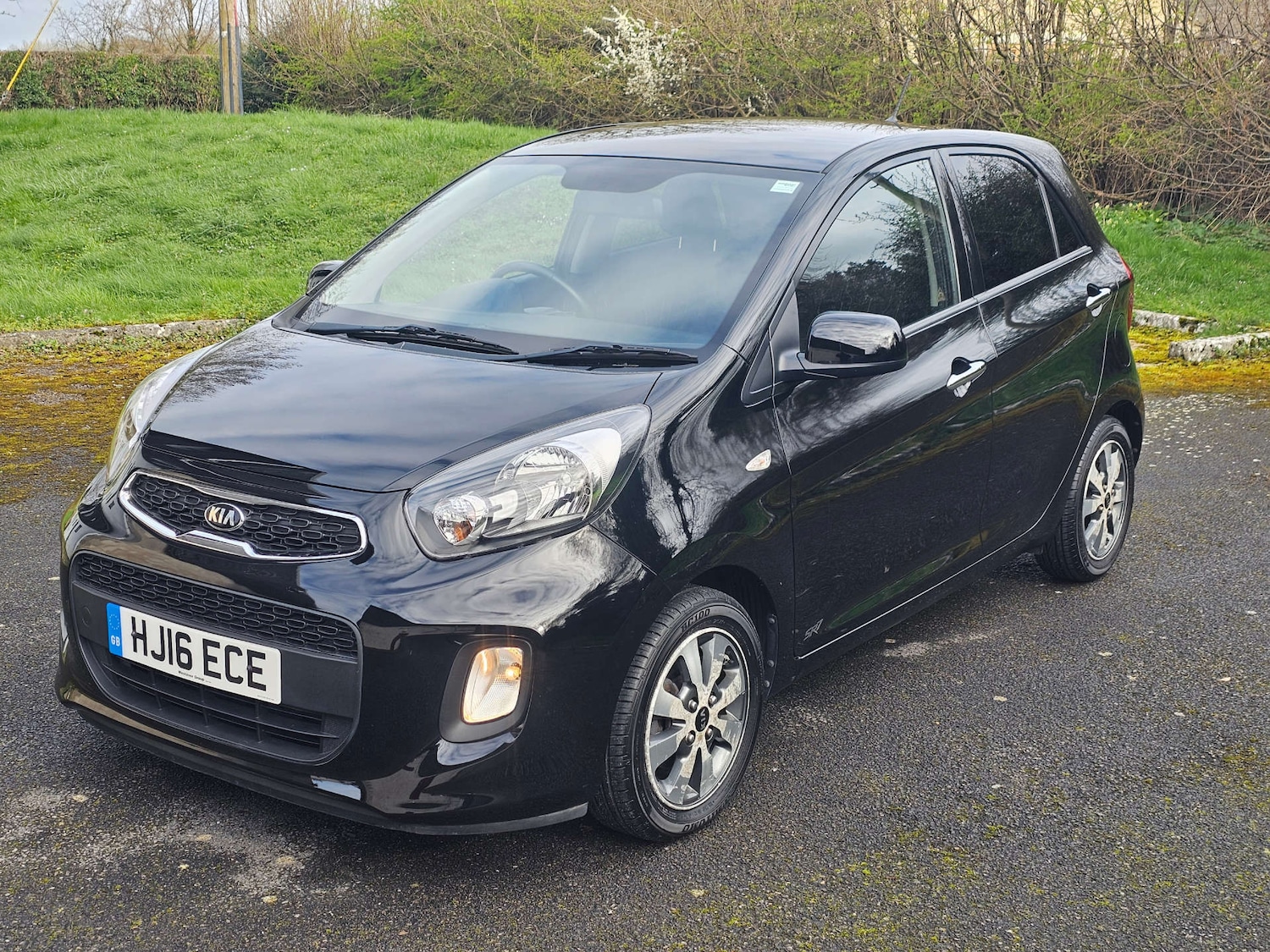 Used Kia Picanto 2016 for sale - 77903034: Photo 16