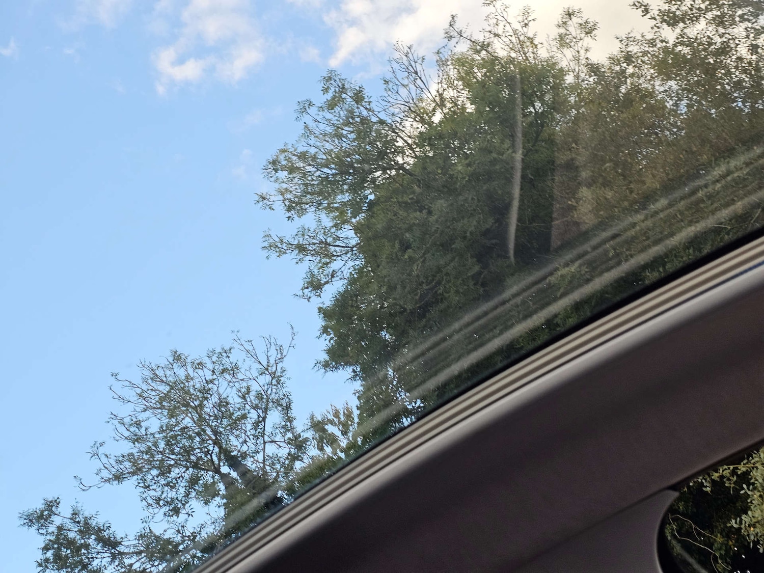 Vehicle 31