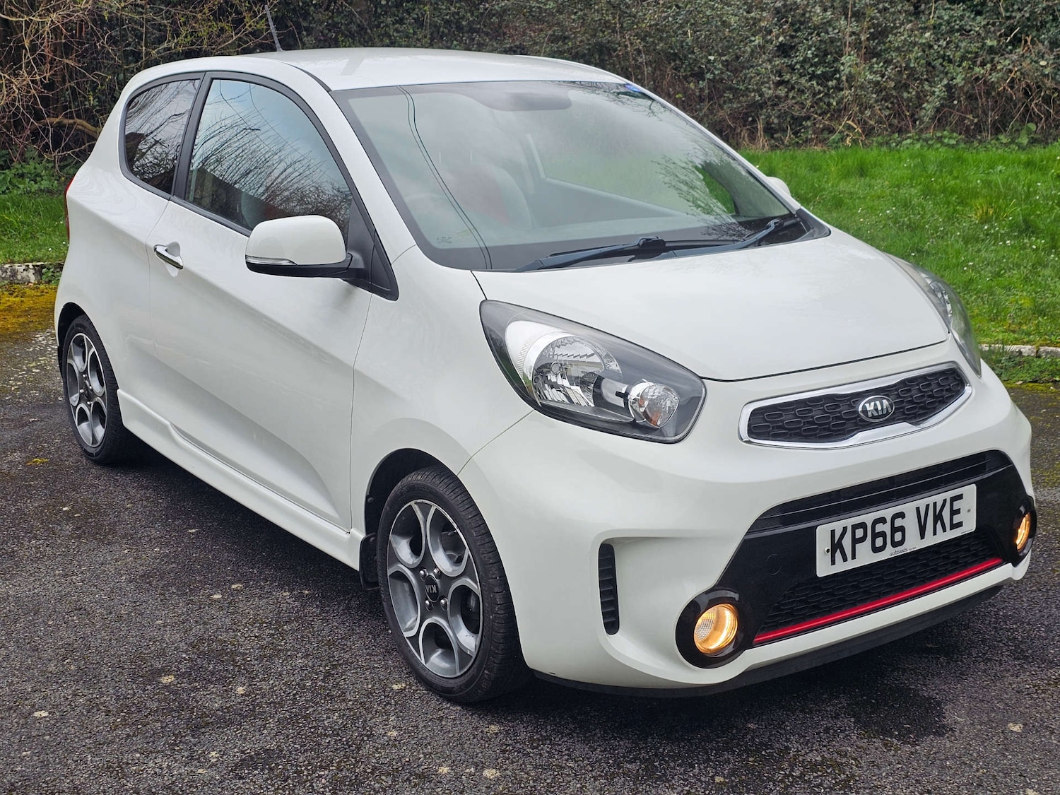 Used Kia Picanto 2016 for sale - 77903025: Photo 1