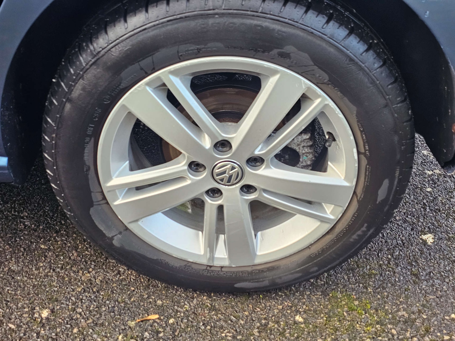 Used Volkswagen Polo 2016 for sale - 77288560: Photo 15