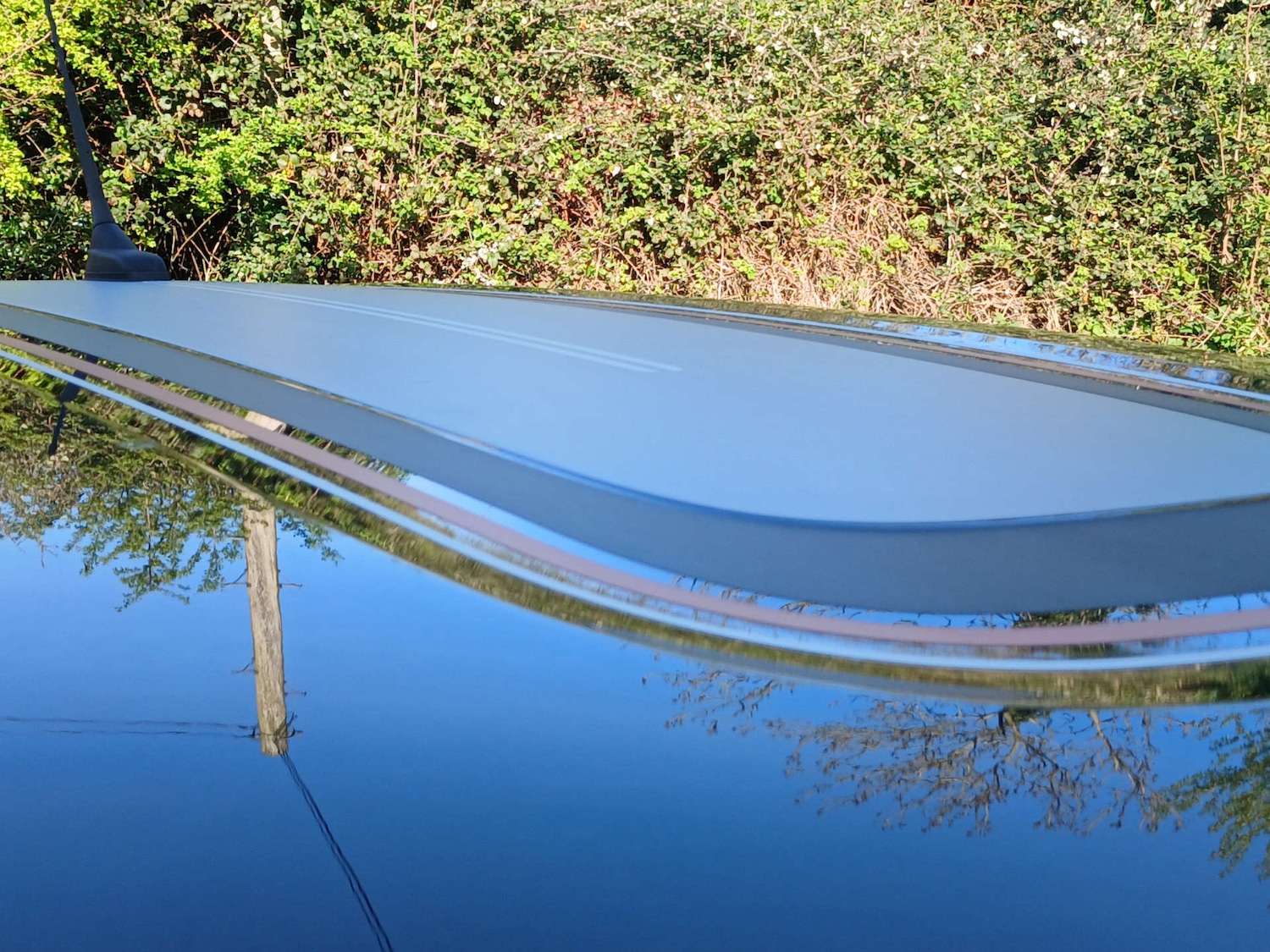 Used Citroen C3 2022 for sale - 78111374: Photo 23