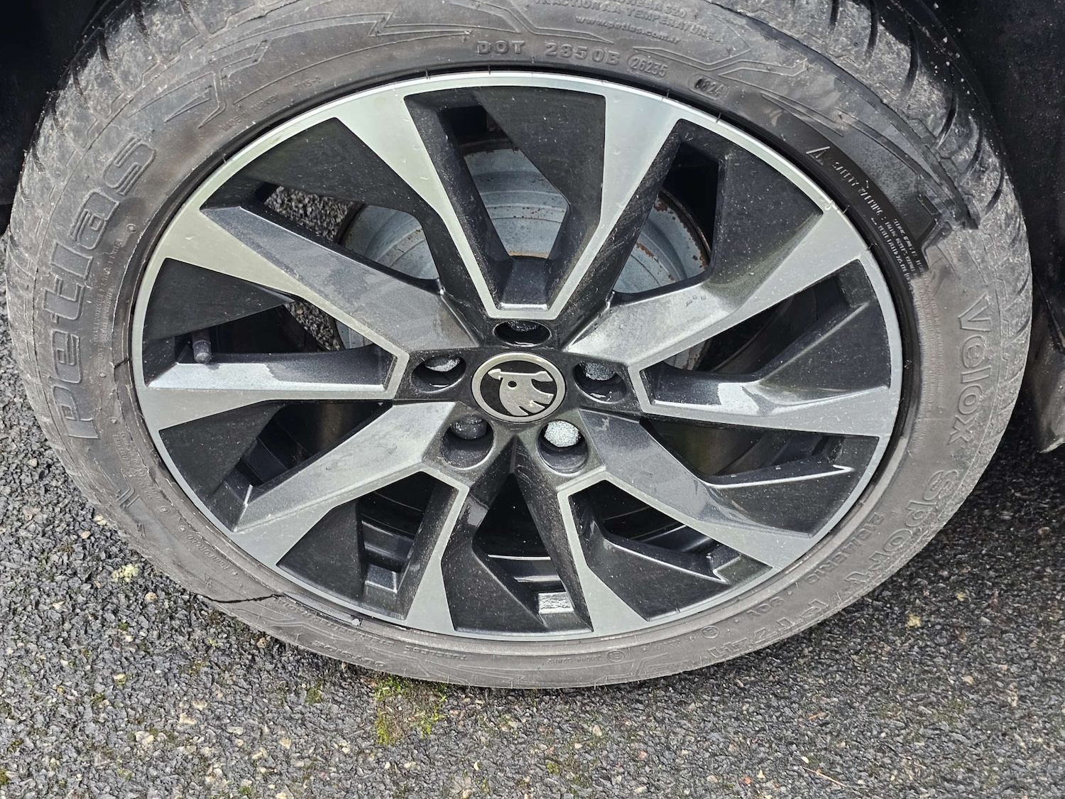 Used Skoda Fabia 2020 for sale - 77372550: Photo 3