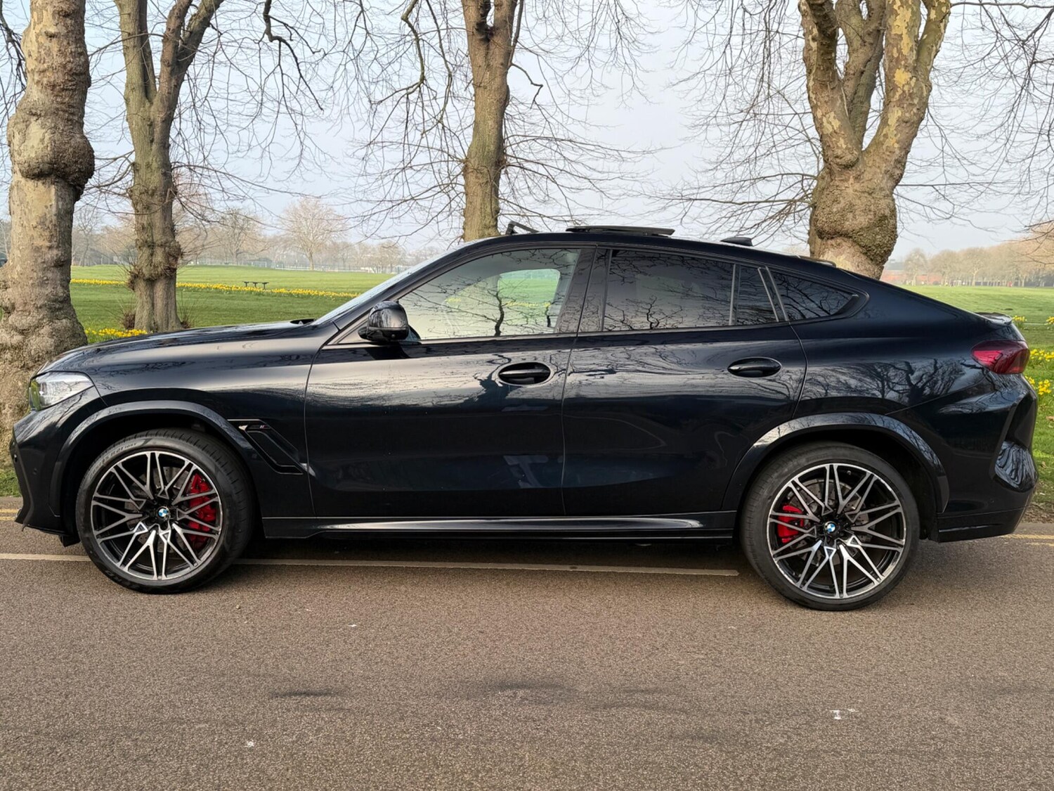 Used BMW x6 M for sale - 77783615: Photo 7