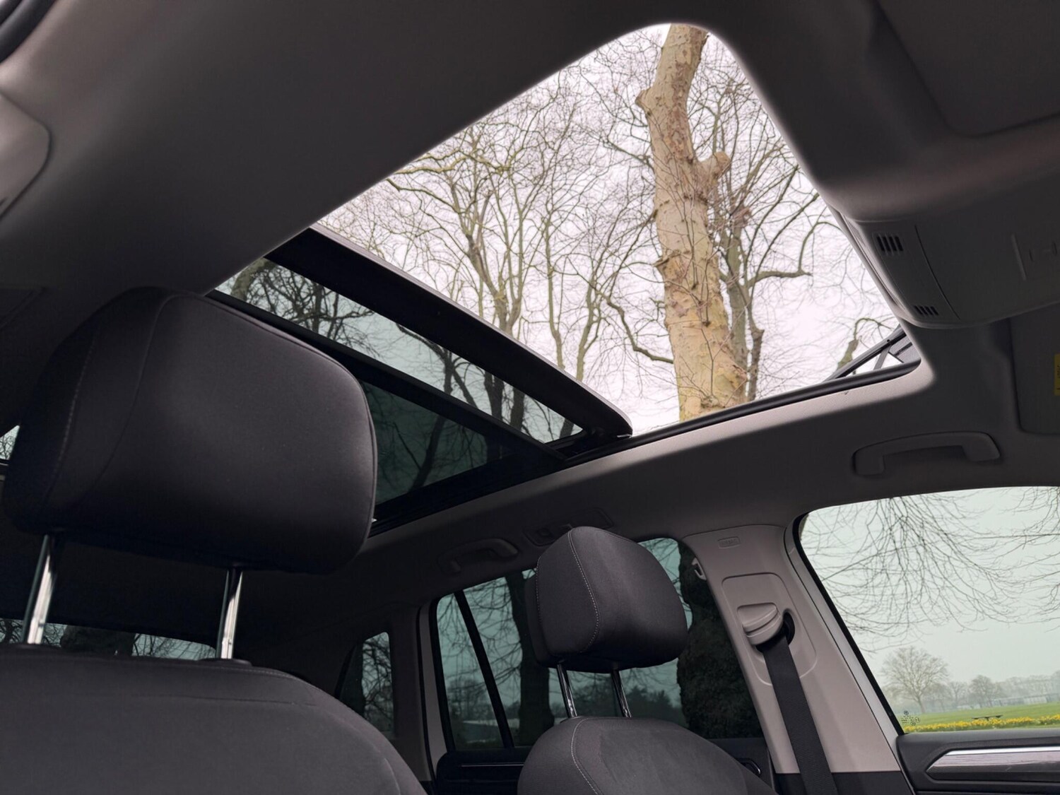 Used Volkswagen Tiguan for sale - 77808941: Photo 12