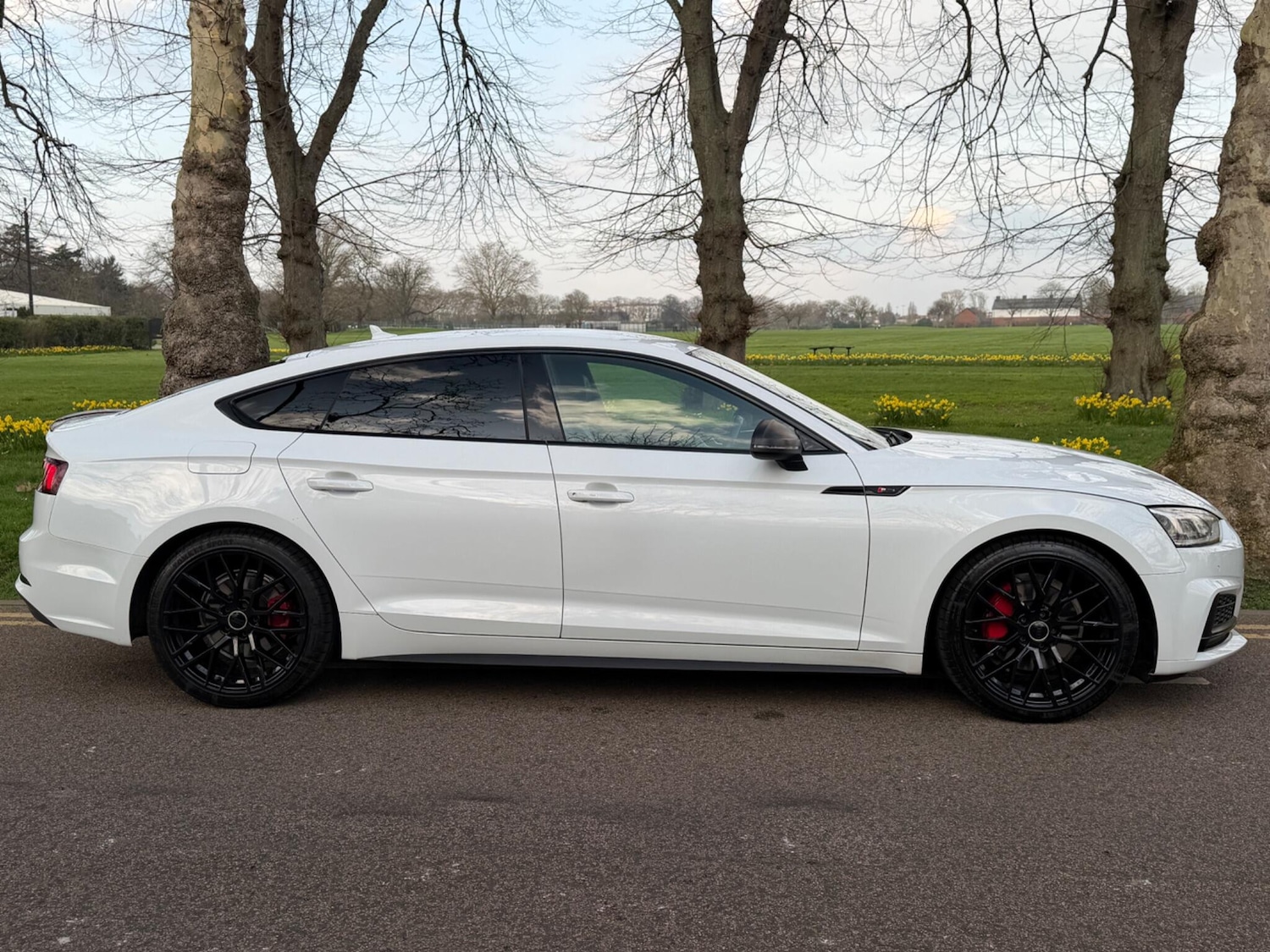 Used Audi A5 for sale - 77925762: Photo 3